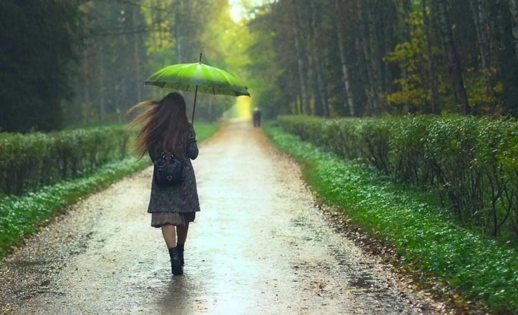 rain